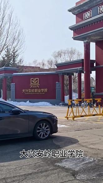 大兴安岭职业学院是中国最北大学。于2002年由原大兴安岭卫生学校、师范学校、林业学校和广播电视大学合并组建而成,是一所公办院校。
主校区位于黑龙江省大兴安岭地区加格达奇区机场路18号,同时在漠河市设有漠河文化旅游学院。
学校占地44公顷,建筑面积近9.2万平方米,全日制在校生4000余人,教职工295人。
学校是黑龙江省骨干高等职业院校和高水平高职学校建设单位,也是大兴安岭地区重要的产业人才培训基地。
学校设有医学技术学院、生态环境学院、信息工程管理学院、人文教育学院、艺术设计学院、漠河文化旅游学院6个二级学院,以及基础部、思政部2个基础教学单位,开设20余个高职高专专业。
#大兴安岭职业学院#最北大学 @DOU+小助手 @抖音创作小助手 @DOU+上热门