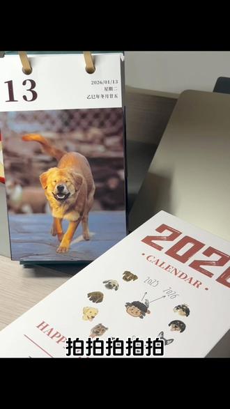 这么好的日历让谁得着了!#骏良 #小狗崽 #门头沟小狗