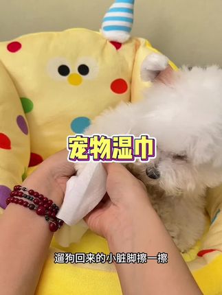 毛孩子日常清洁就用这个#宠物湿巾,一包60片怎么用都不心疼!#萌宠 #湿巾 #宠物用品#宠物护理