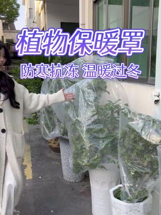 #绿植盆栽 植物防寒保暖罩塑料保温膜袋绿植盆栽花卉果树苗过冬防寒布罩防冻