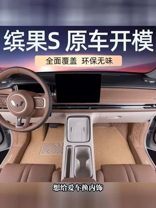 缤果S汽车脚垫