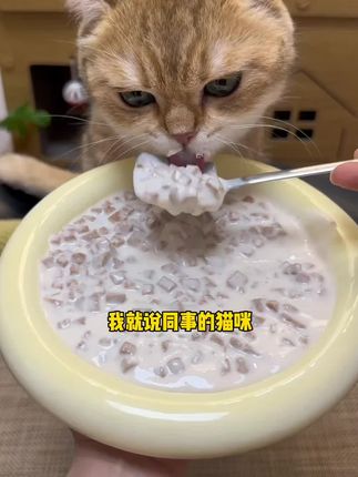 养猫人快薅麦富迪新出的猫咪大礼包!足足9件才9.9,每个猫咪都嘎嘎爱吃~#养猫人 #猫零食 #养猫新手 #萌宠好物
