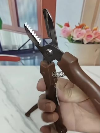 #板栗剪#好物推荐🔥 #小东西生活用品 #板栗开口器 #生活好帮手