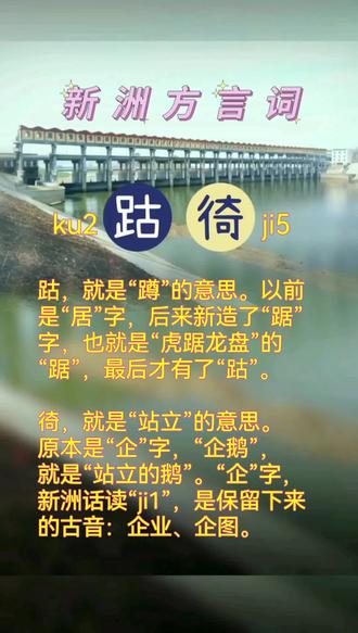 新洲方言词“跍•徛”#武汉方言文化