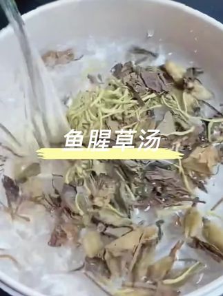 #每日分享 #鱼腥草汤#粤语#好东西一起分享