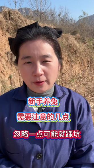 新手养兔如何下手,需要准备,了解的几个方面,忽略一点可能就要踩坑#兔子 #散养兔 #肉兔养殖 #养兔人