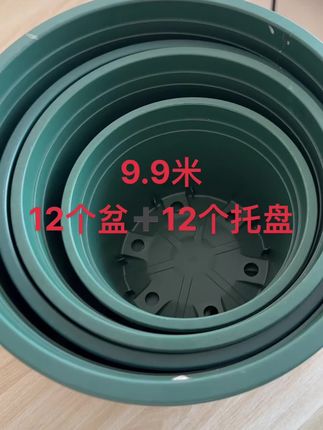 特价加仑盆 9.9米12个盆➕12个托盘包邮到家 多肉党狂喜!这款加仑盆太懂肉肉了!专业控根设计,透气透水不闷根,加厚材质超耐用,养出胖嘟嘟的多肉超简单!#多肉 #多肉植物 #多肉养护 #多肉花盆 #特价加仑盆
