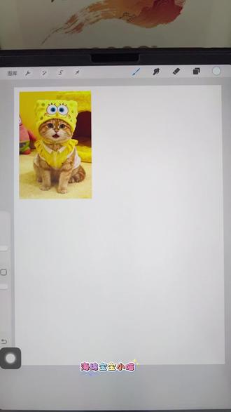 戴着海绵宝宝帽的可爱猫咪,procreate软件铅笔笔刷。自学画画打卡100天(37/100)#又简单又好看的画 #艺术种草指南#抖音年味艺术图鉴#2026绘画开年挑战#平板画画