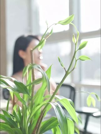 #护肤分享 #美妆好物#无限回购的宝藏单品 #女神必备 #捡到宝了
