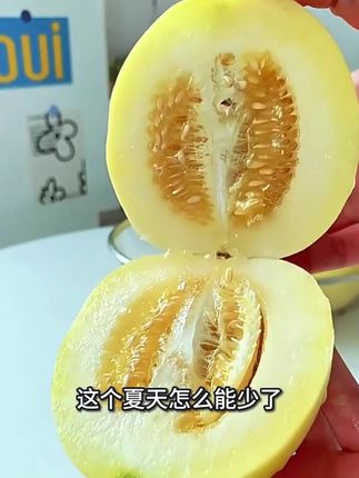 头茬新鲜小蜜蜂甜瓜 #甜瓜 #小蜜蜂甜瓜 #时令瓜果 #新鲜应季水果 #现摘现发新鲜到家