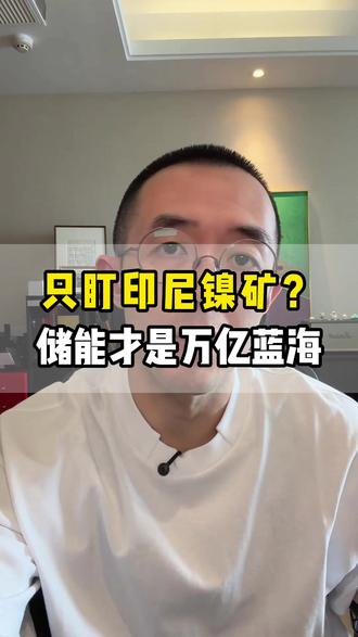 别只盯着印尼镍矿了 #印尼 #储能 #企业出海 #铜雀出海 #光伏