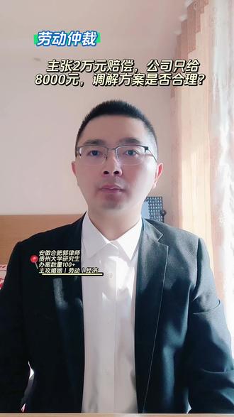 合肥律师:劳动仲裁调解员问你是否同意调解,该怎么回答#法律咨询 #劳动仲裁 #劳动法 #辞退 #律师咨询 @抖音创作小助手 @抖音创作灵感 @抖音小助手