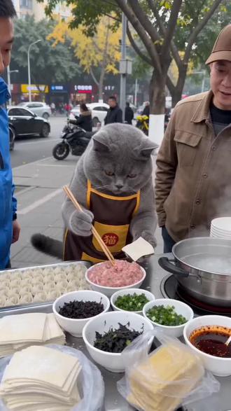 #AI街头馄饨摊的日常 #随变ai随便玩