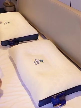 头等舱云端太空舱枕头护颈椎助睡眠低单双人家用枕芯不塌陷不变形@抖音小助手 @巨量千川