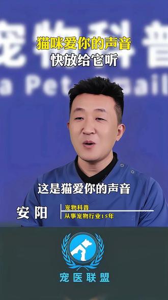 哈哈是爱我的 #吸引猫咪的声音 #召唤小猫咪 #贴贴小猫 #小猫怼脸杀视频 #萌宠出道计划