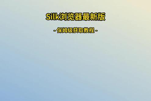 《小宝很乖》silk浏览器下载教程#silk #silk浏览器 #silk浏览器如何下载