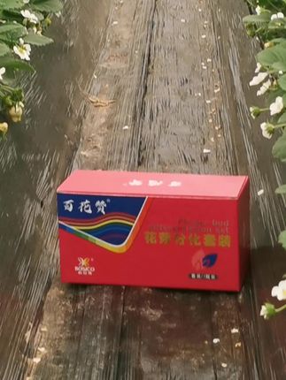 草莓早早上市,卖个好价格#服务三农 #农业种植 #草莓种植 #助力三农 #三农种植