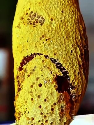 咱这个农家的土蜂蜜你们有吃过吗?原汁原味的花香味好足的。无添加的。配料表好干净的拿来泡水做水果茶都好合适的。老人,小孩都可以放心吃了。可以做各种糕点呐,都是甜而不腻,美味可口的#土蜂蜜