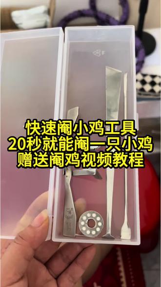 20秒快速阉小鸡工具 #自制工具 #阉鸡 #马山阉鸡#阉鸡工具 #养鸡