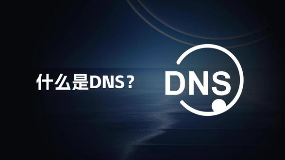 DNS到底是什么? 你是不是知道DNS,你知道它到底是什么吗?
#DNS #程序员 #软件开发 #计算机
