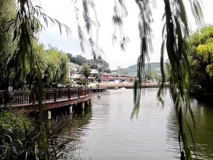 秋日文姜公园#博山#文姜公园#博山凤凰泉