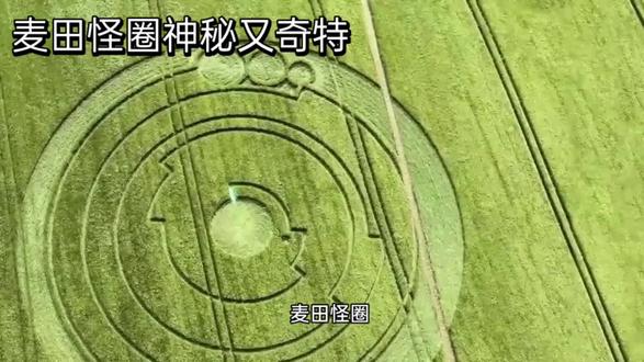 世界十大未解之谜之麦田怪圈#科普 #解密真相