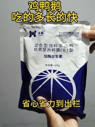 鸡鸭鹅吃的多长的快#三农 #养殖#养鸡鸭鹅#生态散养#农村散养土鸡
