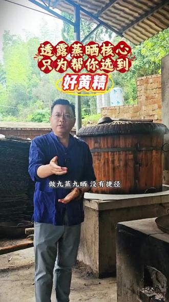 透露九蒸九晒核心 只为帮你选到好黄精 #真实生活分享计划 #九蒸九晒黄精 #滋补美食推荐 #野生黄精和种植黄精有什么区别 #黄精的吃法