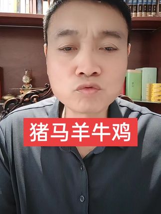 猪马羊牛鸡的家人#传统文化#生肖