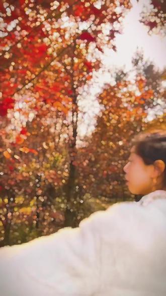 风月都好看,人间也浪漫。缓缓飘落的枫叶像思念!