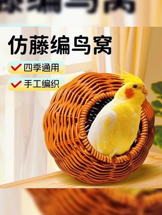 天气热了,给鸟宝换个凉快的鸟窝吧! #鹦鹉鹦鹉萌萌哒逗鹦鹉 #鹦鹉🦜 #鸟窝 #鹦鹉鸟窝 #手养鹦鹉