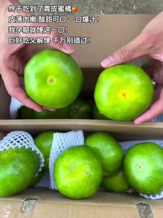 终于吃到了青皮蜜橘,皮薄肉嫩酸甜可口!我孕期就馋这一口!#青皮橘子 #优质农产品 #口感特别好 #应季水果 #新鲜采摘