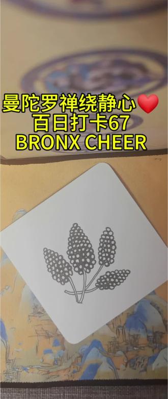 放松解压画曼陀罗禅绕 曼陀罗禅绕基础图样之BRONXCHEER#放松#解压#疗愈#觉察#保持情绪平和稳定