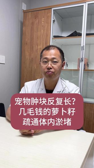 宠物肿块反复长?几毛钱的萝卜籽,疏通体内淤堵 #肿瘤 #健康 #宠物 #中兽医 #抖出健康知识宝藏