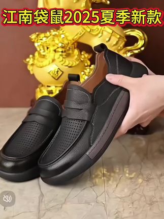 刘姐(安) #创作灵感上热门 江南袋鼠2025夏季新款软底防滑休闲男鞋#透气舒适 #好穿又好搭 #高端大气 进入橱窗看看吧