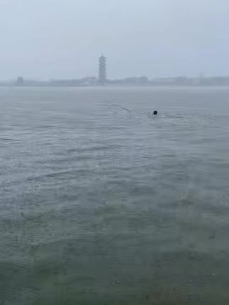 质尊pe线拉力强劲#路亚 #钓鱼