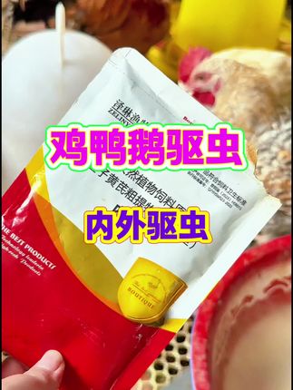 #科学养鸡 #鸡鸭鹅养殖 #养鸡 #三农 #养鸡人