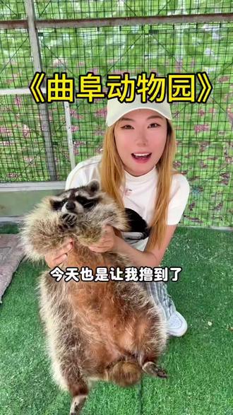 来曲阜动物园赏动物,看节目! #曲阜动物园 #杨总出品#动物园 #五一去哪儿