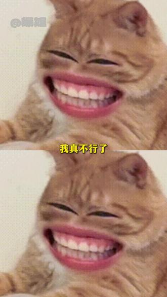 负鼠:慢慢急,不要来。#负鼠 #表情包 #搞笑 #抽象 #打工人