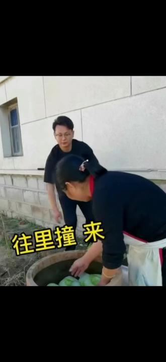 南方女婿听不懂的北方话
#南方女婿在东北 #东北丈母娘和南方女婿