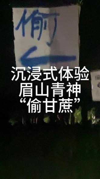 #偷甘蔗 假装npc的一天#凑热闹 #你见过吗