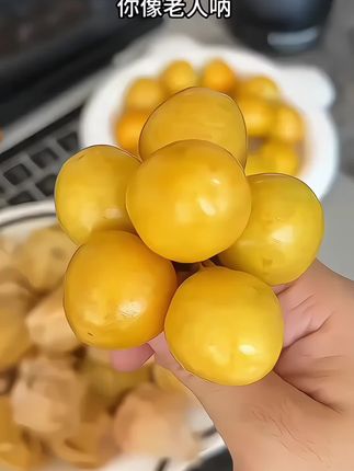 脆甜多汁,真的巨好吃,还有浓郁的奶香味~#应季水果 #菇娘果 #强烈推荐 #好吃到停不下来 #脆甜多汁