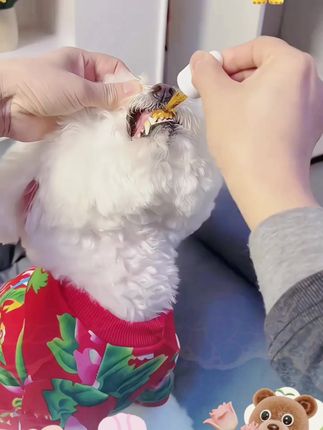 哈尼艾芙去泪痕口服液宠物流泪犬猫狗眼屎清理淤堵修复泪腺眼部#泪痕去除神器 #萌宠出道计划 #狗狗去泪痕 #实锤了我真的是龙的传人 #抖音龙年好戏大赏
