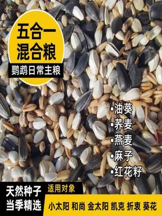 "【上浮型】冻干水蚯蚓贴块鱼食龟食红线虫贴片鱼粮鱼饲料 #观赏鱼 #鱼食 #鱼粮 #新手养鱼 #水族
