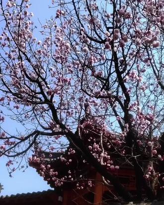 爱我不要丢下我 已同步,来自@好吃的饭我大吃一口 点菜#keegan#ooc#ai翻唱#爱我不要丢下我翻唱
对不起我歌名可能打错了,这个字幕凑合看吧