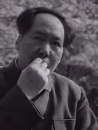 伟人居然早在几十年前就预言了人工智能 #伟人 #伟人诗词