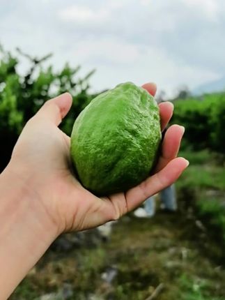 兰兰亲妈过来就是一顿指责#记录生活 #家庭矛盾 #护肤分享 #贵妇膏