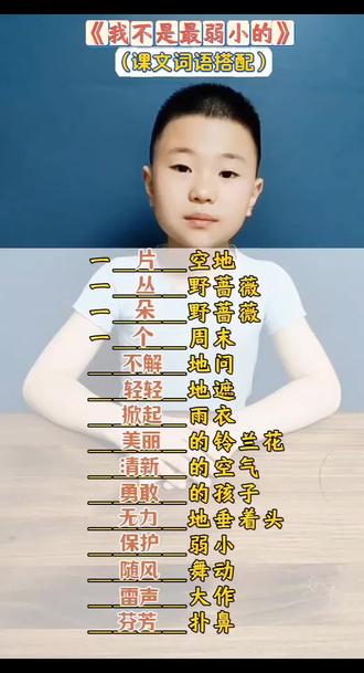 《我不是最弱小的》词语积累二下语文