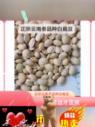 云南山货 云南老品种白扁豆带黑边农家自产 #好物推荐 #热门推荐 #爆款推荐