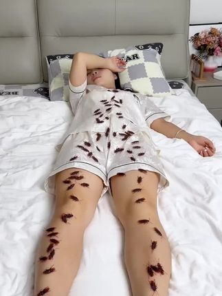 #好物推荐🔥